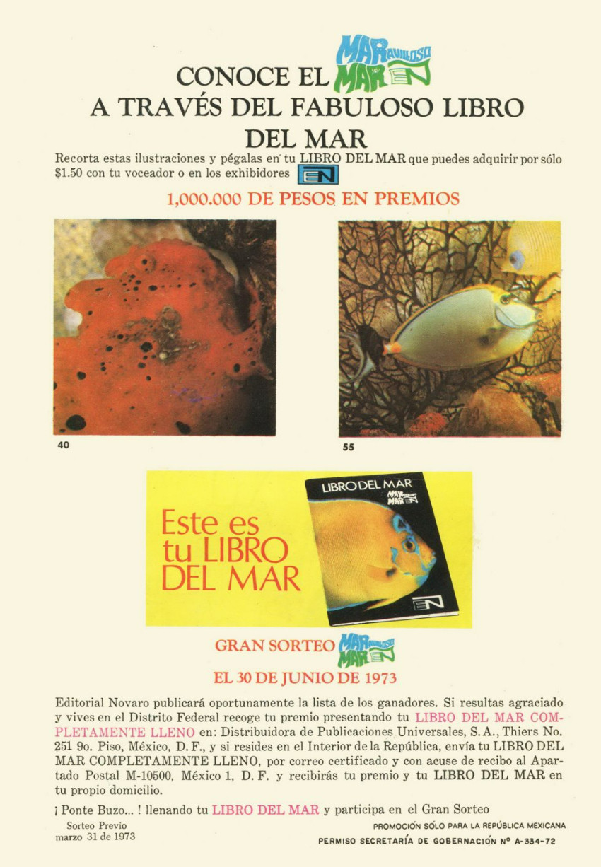 Verso
