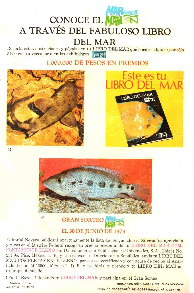 Verso