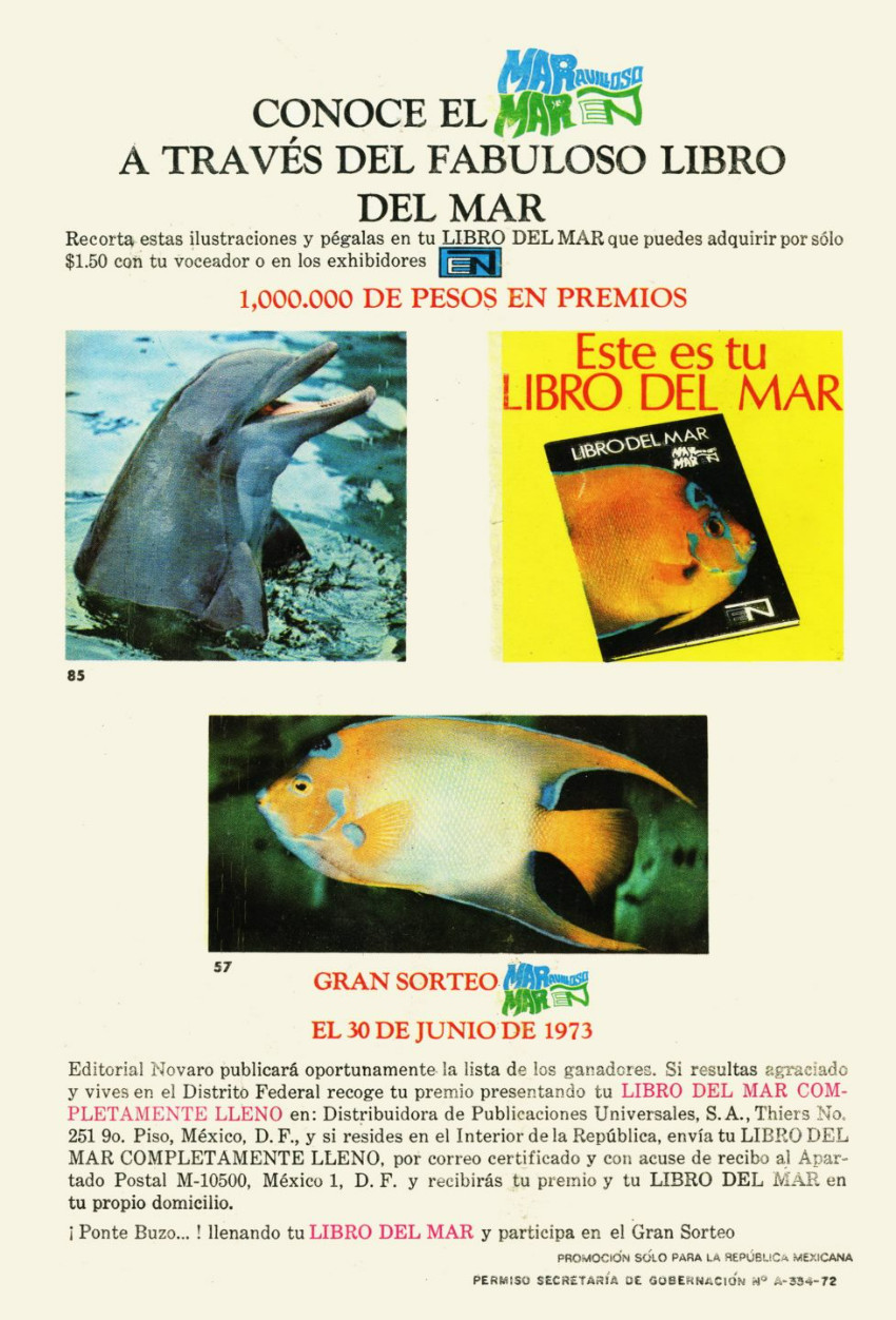 Verso