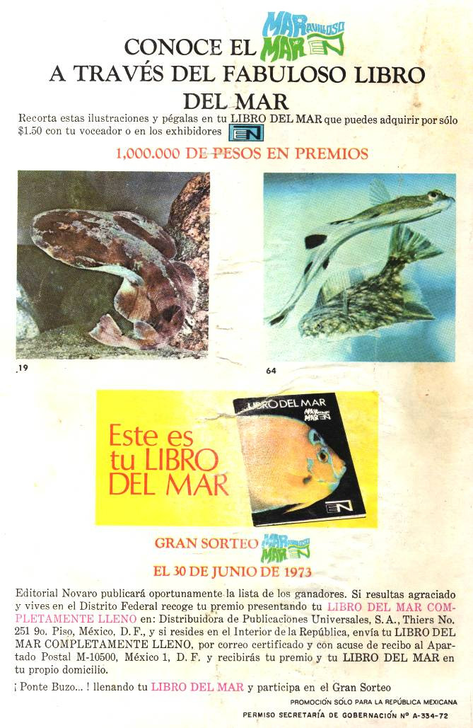 Verso