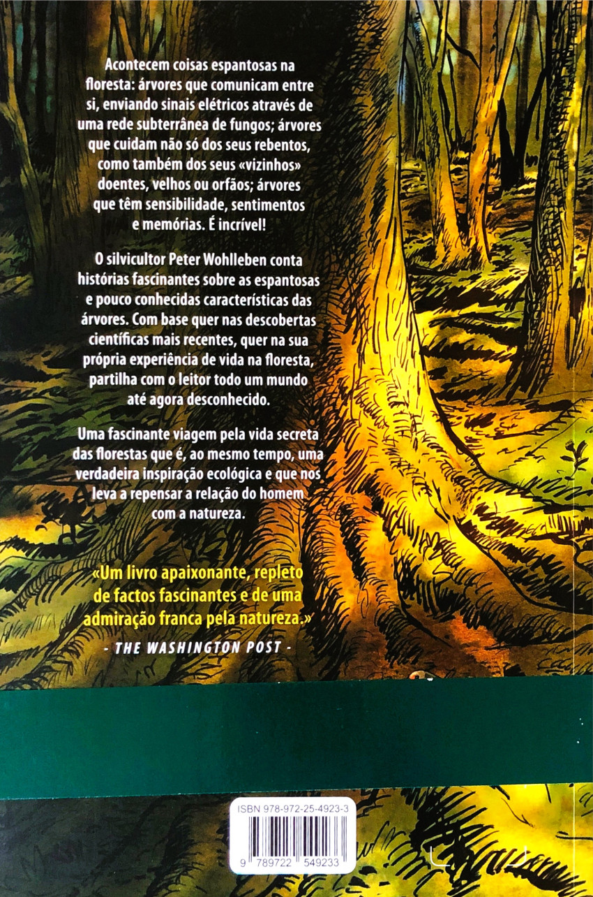 Verso