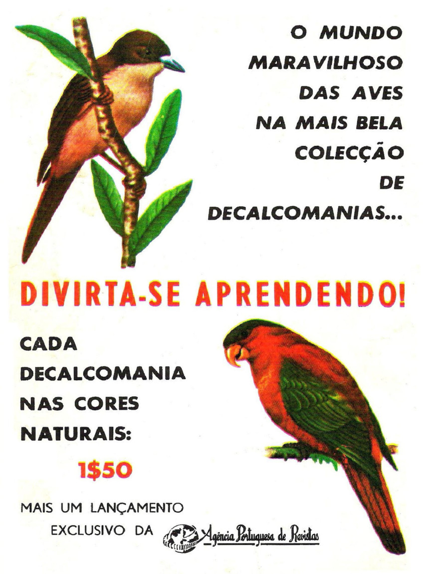 Verso