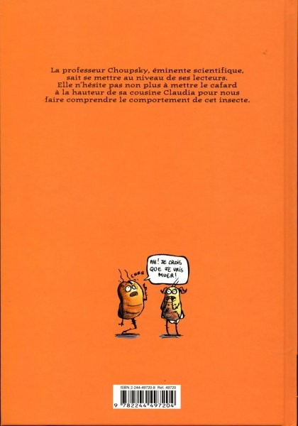 Verso
